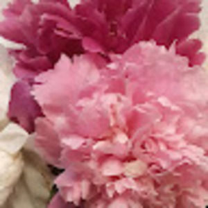 Meet your Posher, Jeri